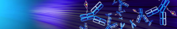 PageLines- news-header.jpg